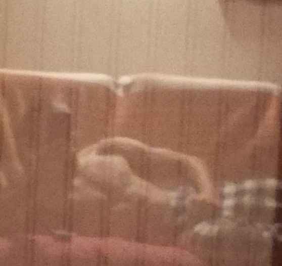 Profil de Vaik, 22 ans, Sexe Monaco à Cuisy