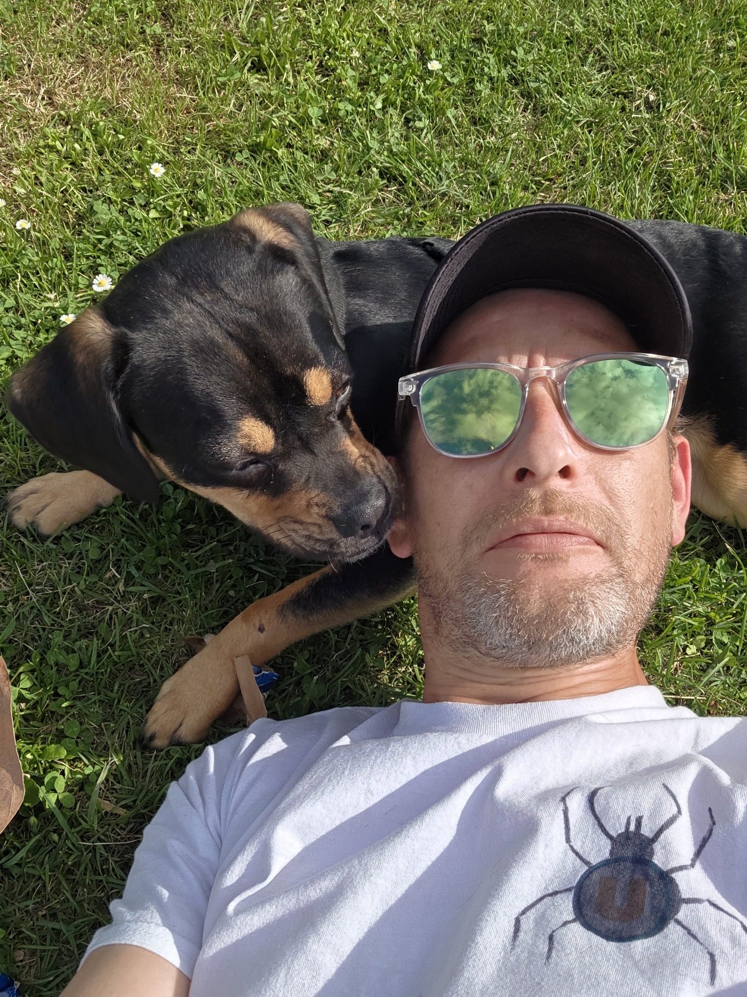 Profil de Dove, 42 ans, Sexe Monaco à Angresse